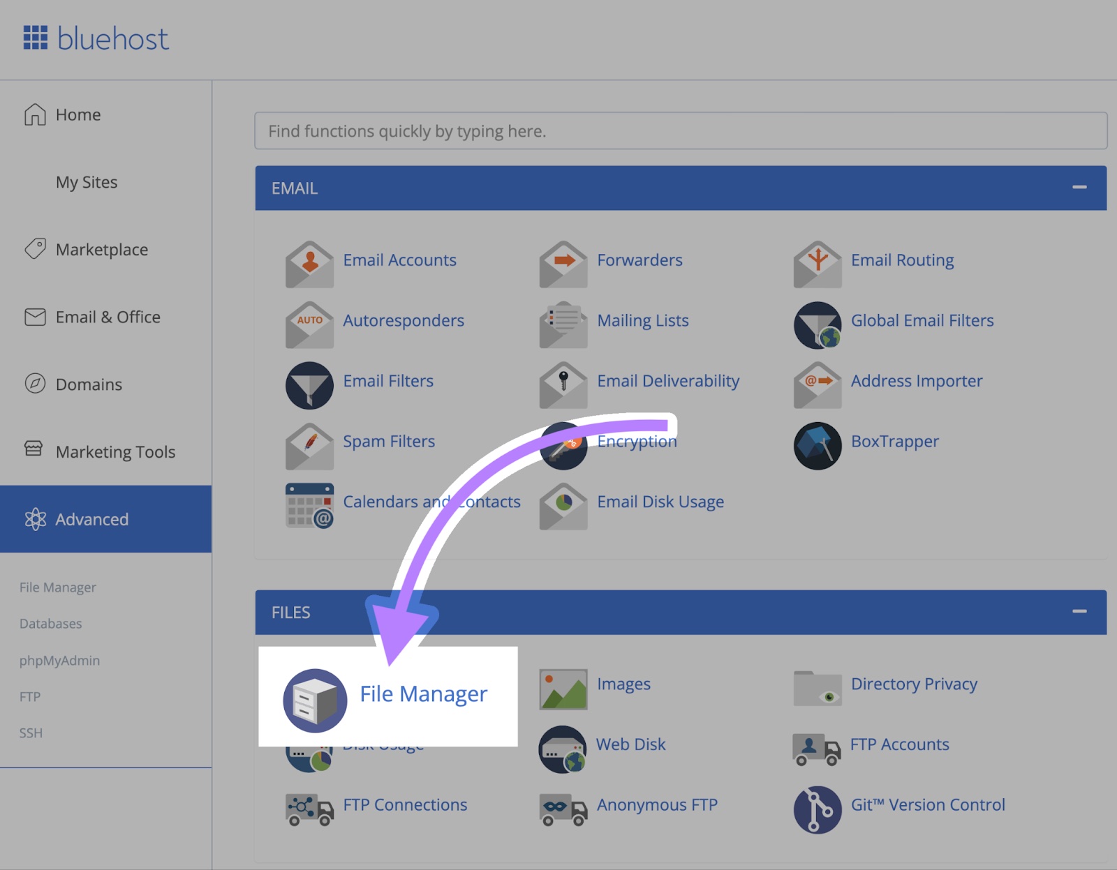 The "Advanced" tab on the Bluehost dashboard with "File Manager" under "Files" selected.