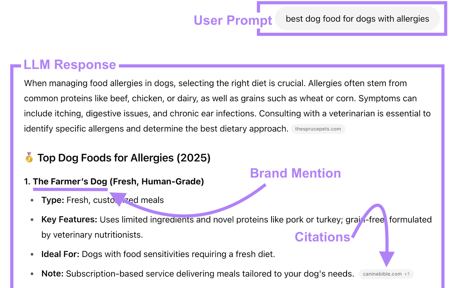 ChatGPT conversation is labeled with the user prompt, LLM response, brand mention, and citations.