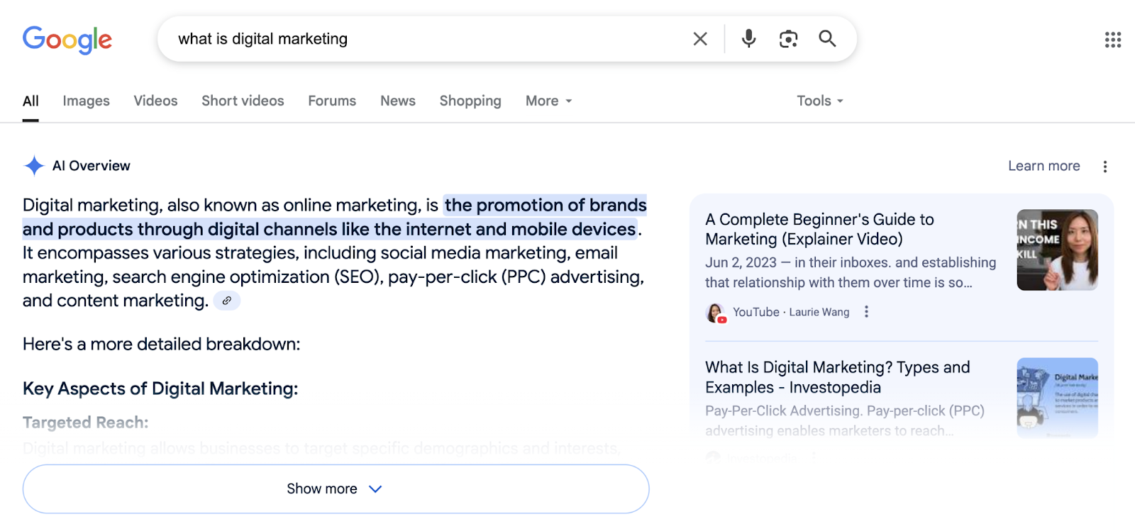 AI Overview for "what is digital marketing," shows a summarized response with sources on the right-hand side.